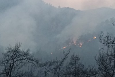 MARMARİS'TE ORMAN YANGINI; MÜDAHALE SÜRÜYOR