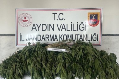 AYDIN'DA 1 HAFTADA 7 UYUŞTURUCU TACİRİ TUTUKLANDI