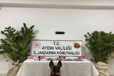 UYŞTURUCU OPERASYONU