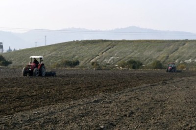 SÖKE'DE BUĞDAY HASADI İÇİN START VERİLDİ