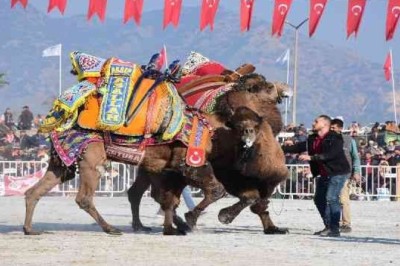 AYDIN'DA YILIN İLK GÜREŞİ YAPILDI!