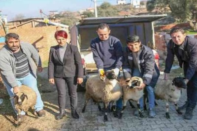 BAŞKAN ÇERÇİOĞLU'NDAN  ÜRETİCİSİNE  KÖTÜ GÜNÜNE DESTEK!