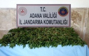 JANDARMADAN UYUŞTURUCU İMALATINA BİR DARBE DAHA