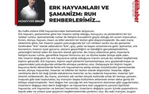 ERK HAYVANLARI VE ŞAMANİZM: RUH REHBERLERİMİZ...