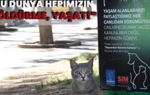 BAŞKAN ÖMER GÜNEL BU DÜNYA HEPİMİZİN ''ÖLDÜRME, YAŞAT''