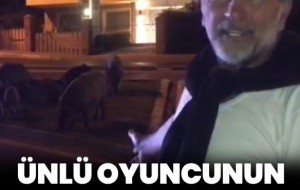 ÜNLÜ OYUNCUNUN DOMUZLARLA İLGİLİ PAYLAŞIMI